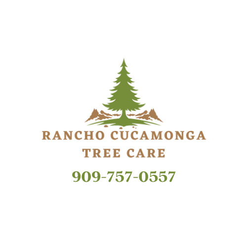 Business directory image
