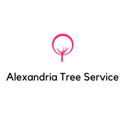 Business directory image